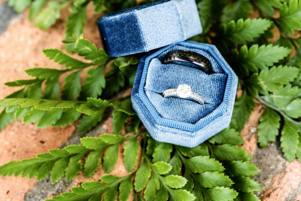 Wedding rings on greenery