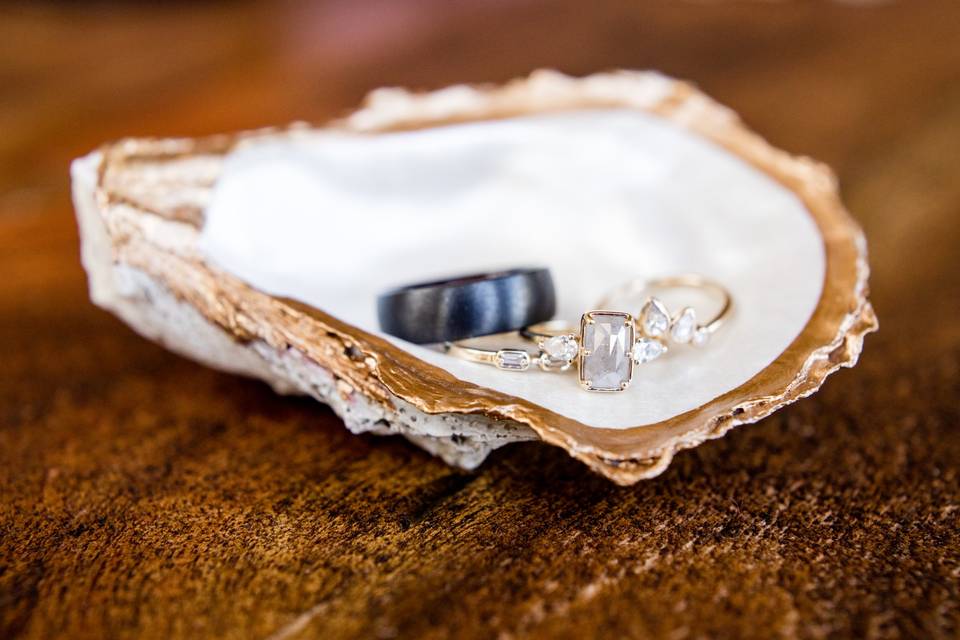 Oyster Shell Ring Holder