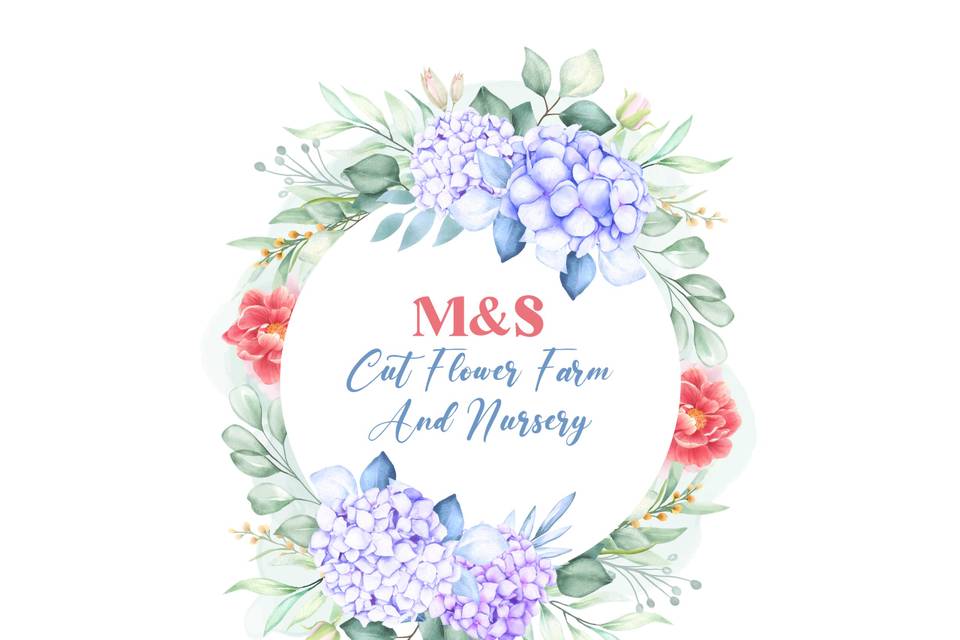 M&S Cut Flower Farm