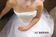 Pearl Lined Birdcage Wedding Veil.