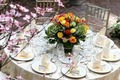 Mint Events