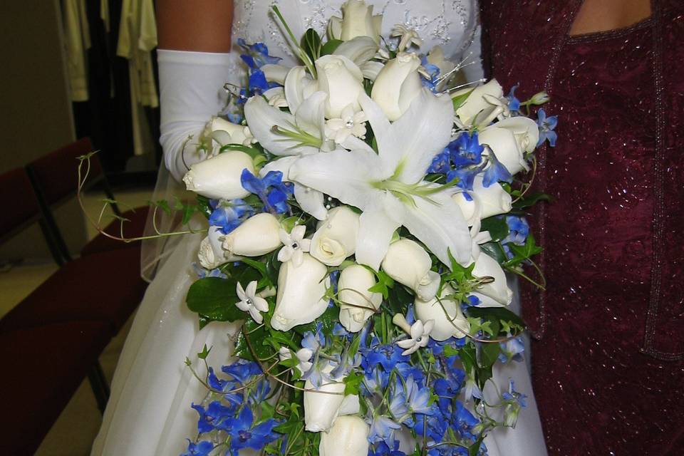 White and blue flowers