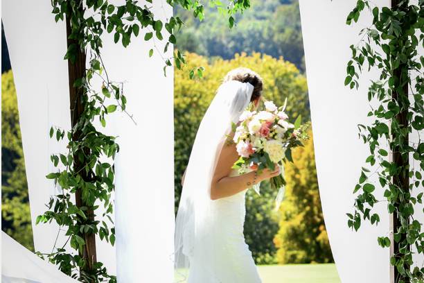 Bride and view