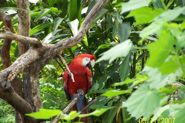 At the Zoo