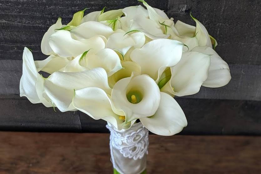 All white Calla lily