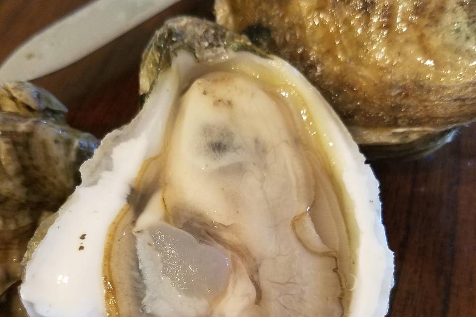 Shucked Oyster