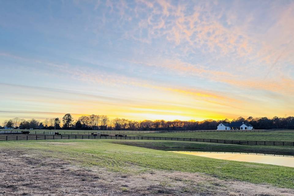 Sunset over the pond