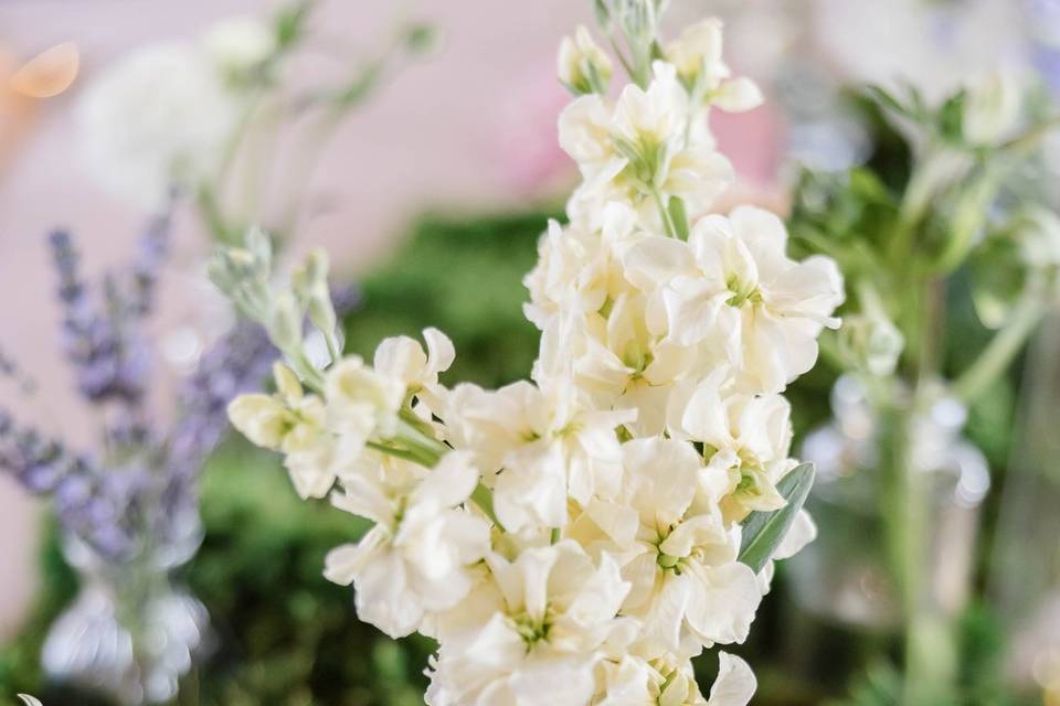 Floral