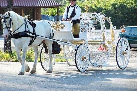 Horse and best sale carriage princess