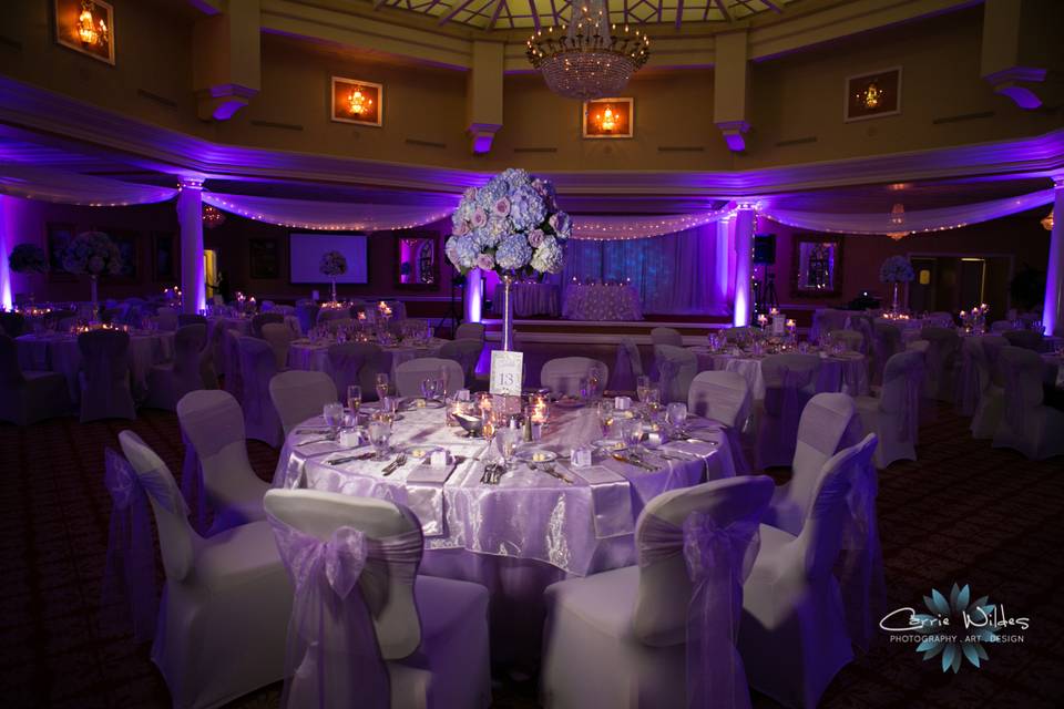 Purple reception lighting