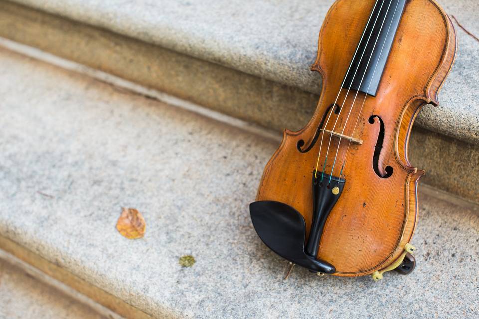 Quince String Quartet