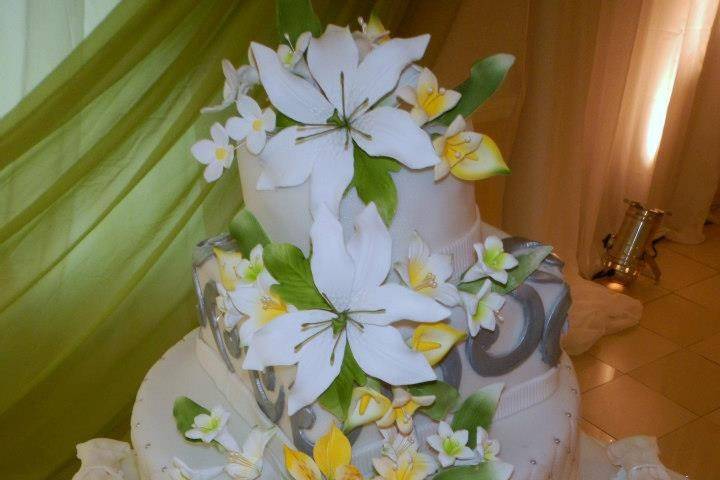 Cake House Boutique