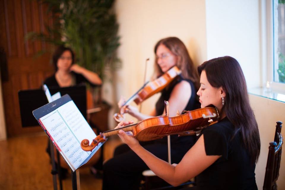 Harmony Strings-String Trio