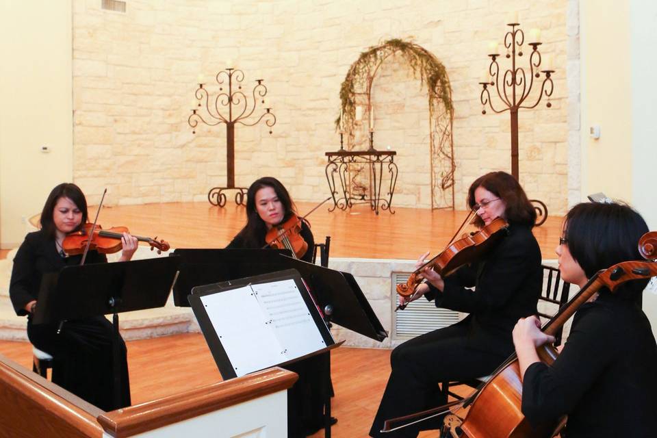 Harmony Strings-String Quartet