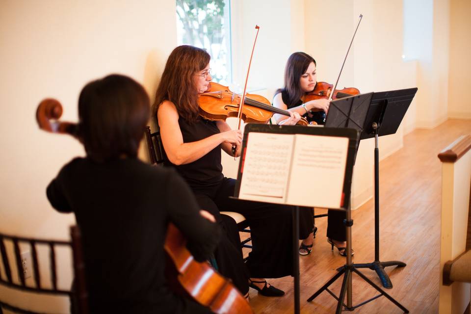 Harmony Strings Quartet