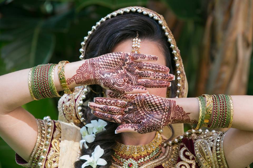 Indian Wedding at the Vinoy