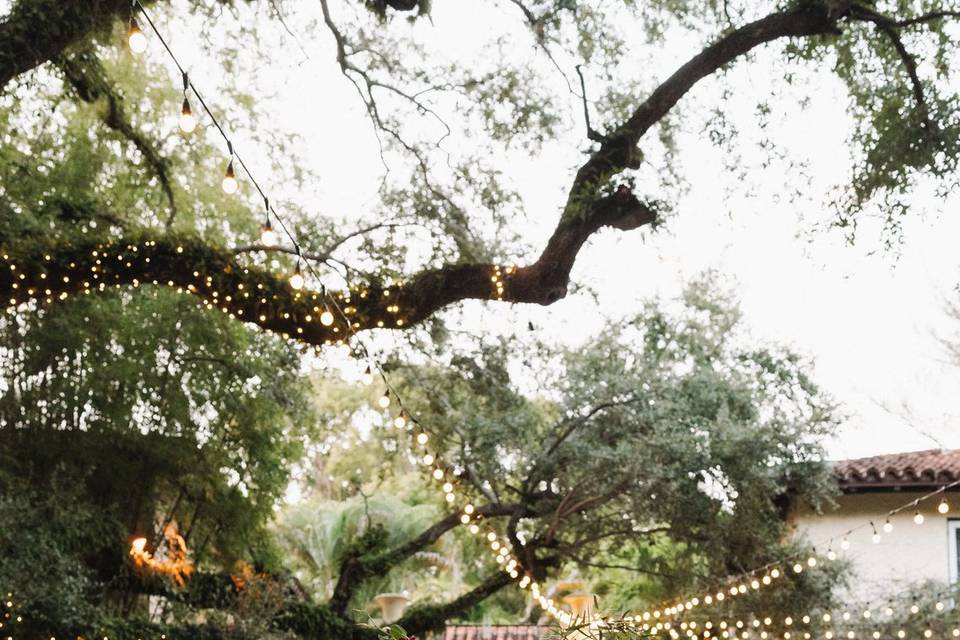 Miami Centerpieces