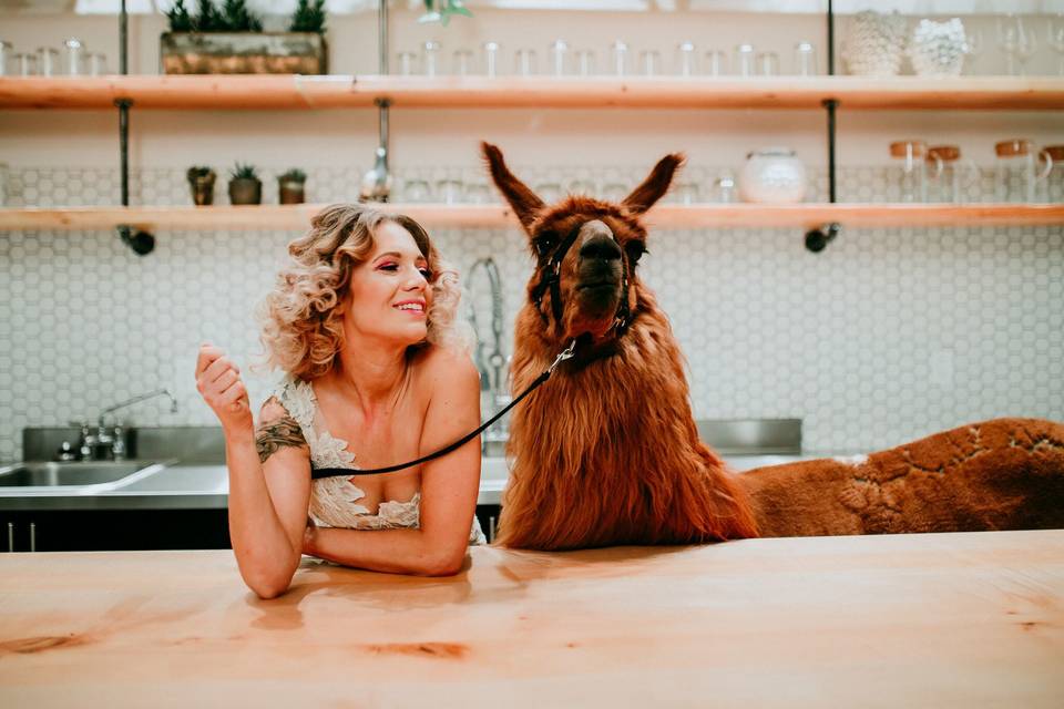 Bride with llama