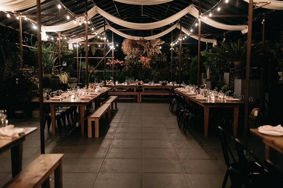 Reception under the canopy