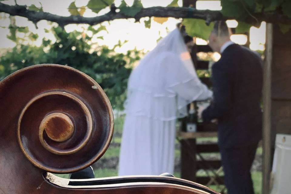 Cello Serenade
