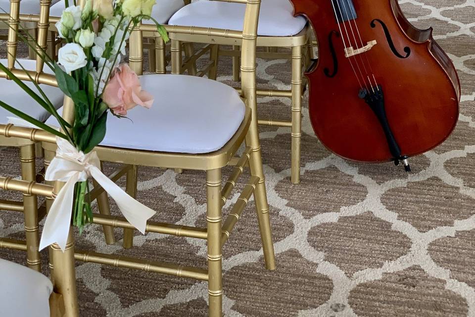 Cello Serenade