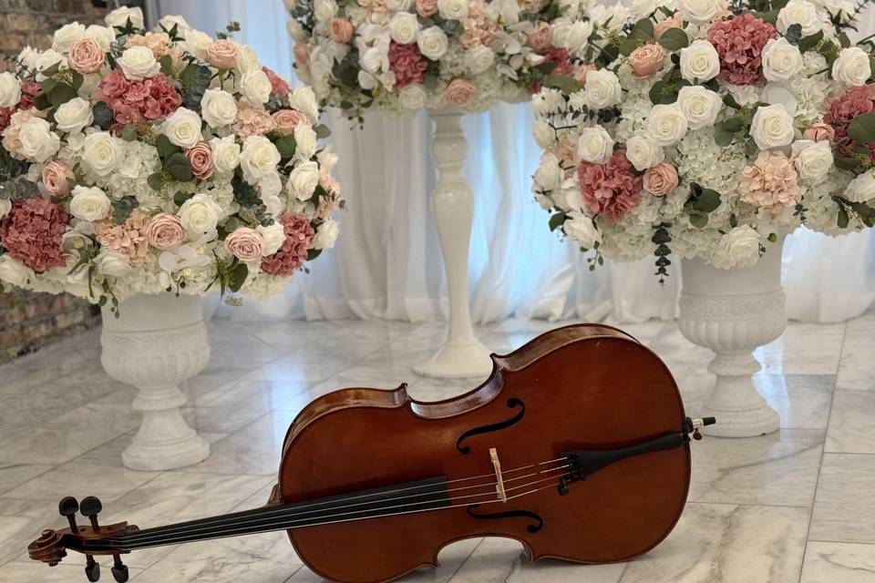 Cello Solo