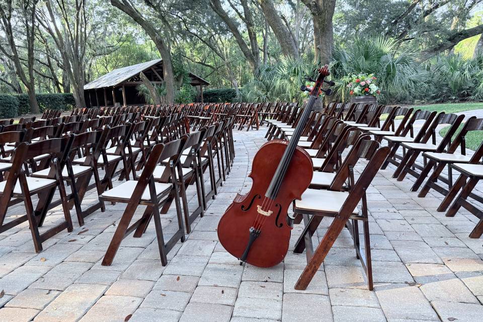 Wedding Ceremony