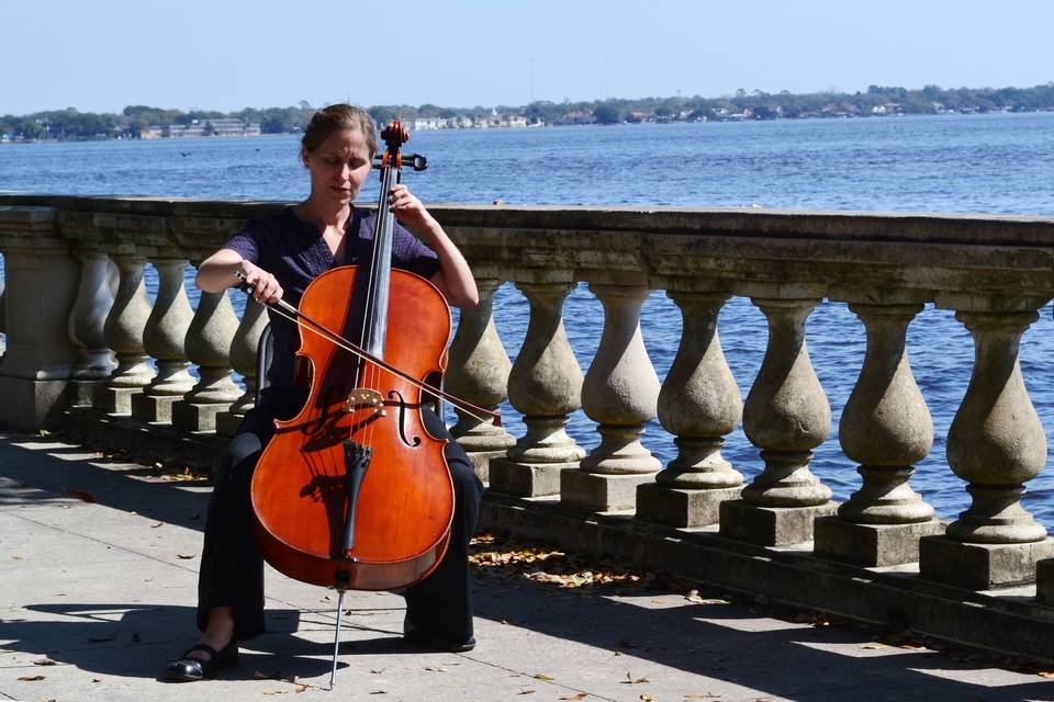 Cello Serenade