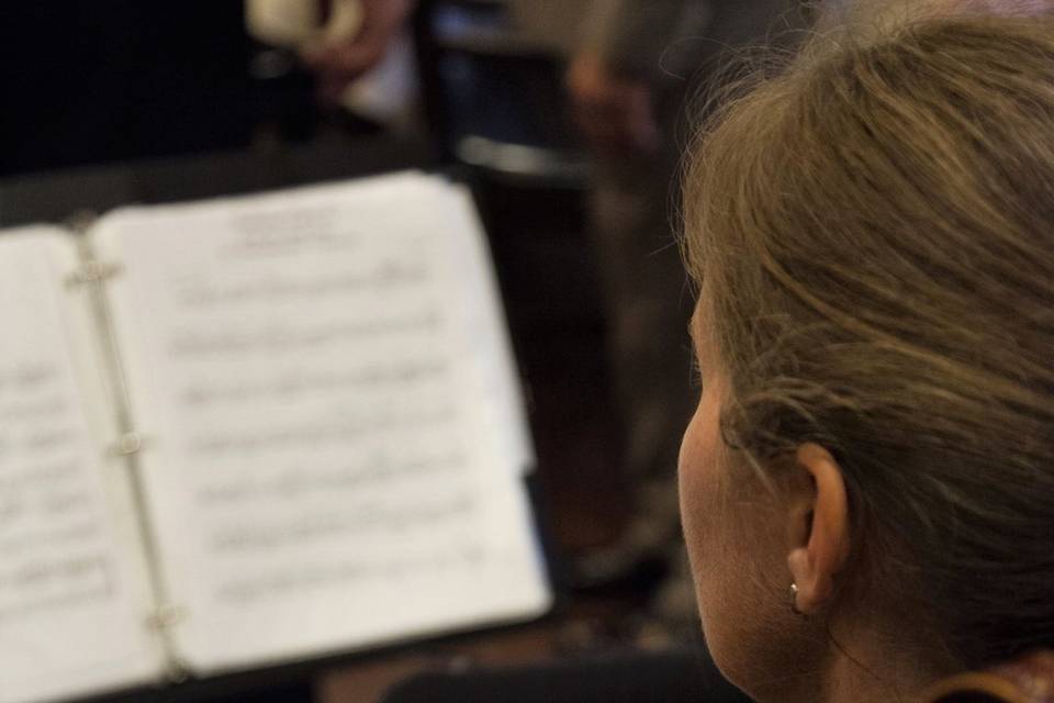 Cello Serenade