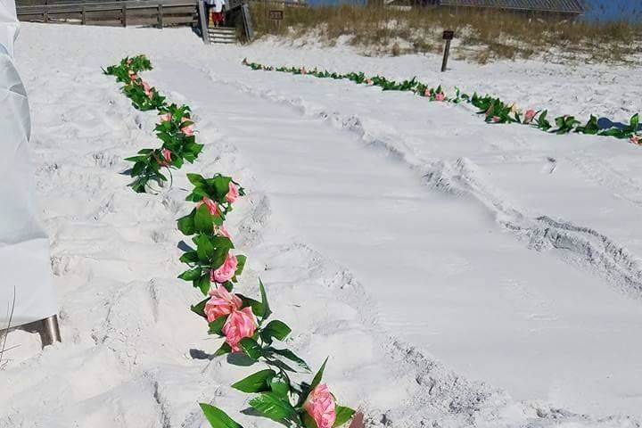 Flowers on the shore