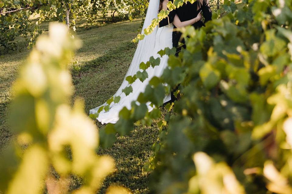 Harper's Vineyard