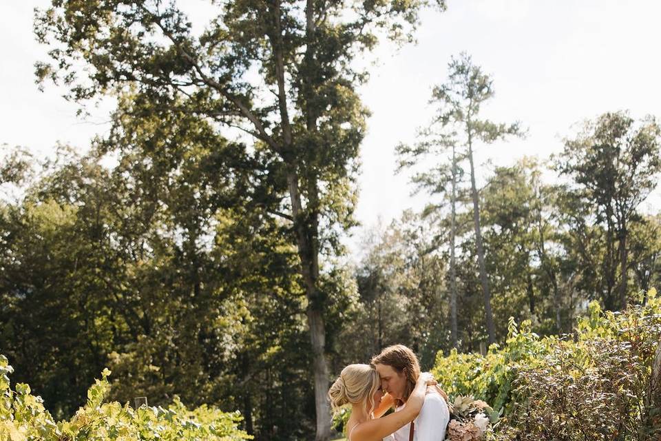 Harper's Vineyard