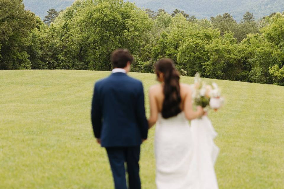 Harper's Vineyard