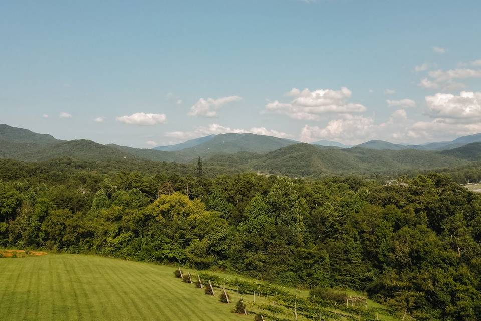Harper's Vineyard