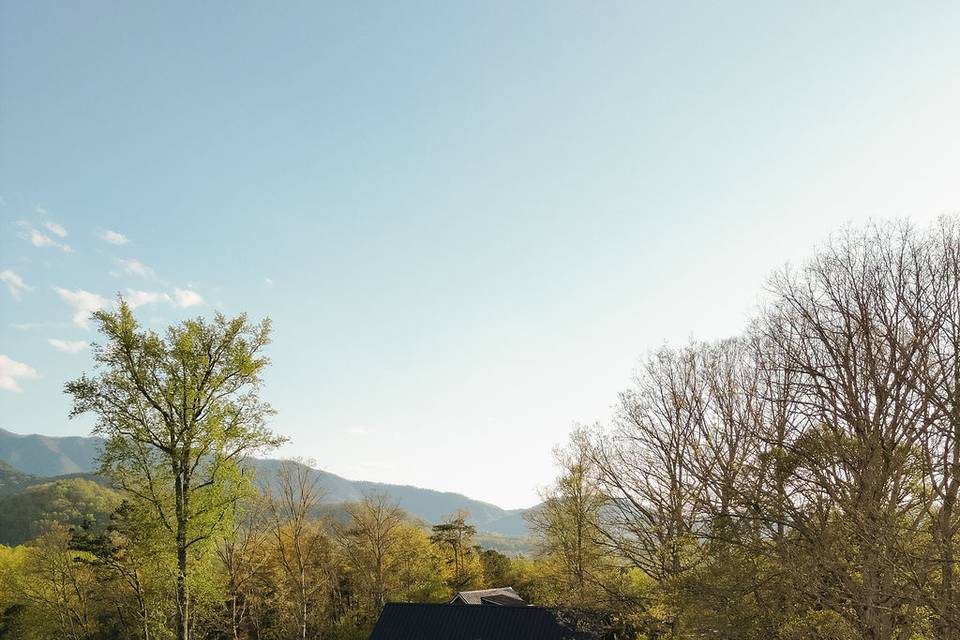 Harper's Vineyard