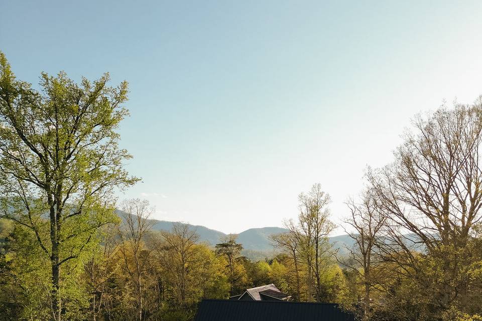 Harper's Vineyard
