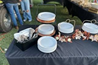 Plate Setup