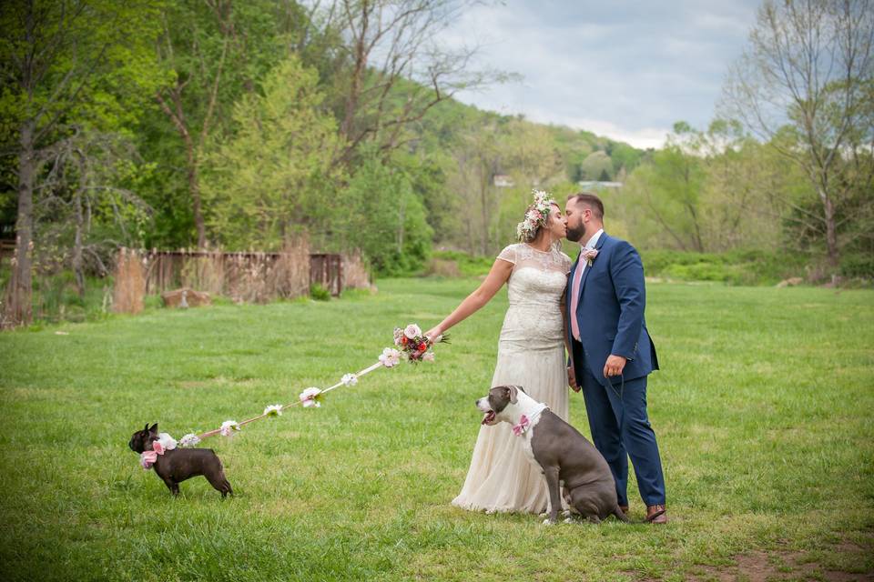 Wedding dogs