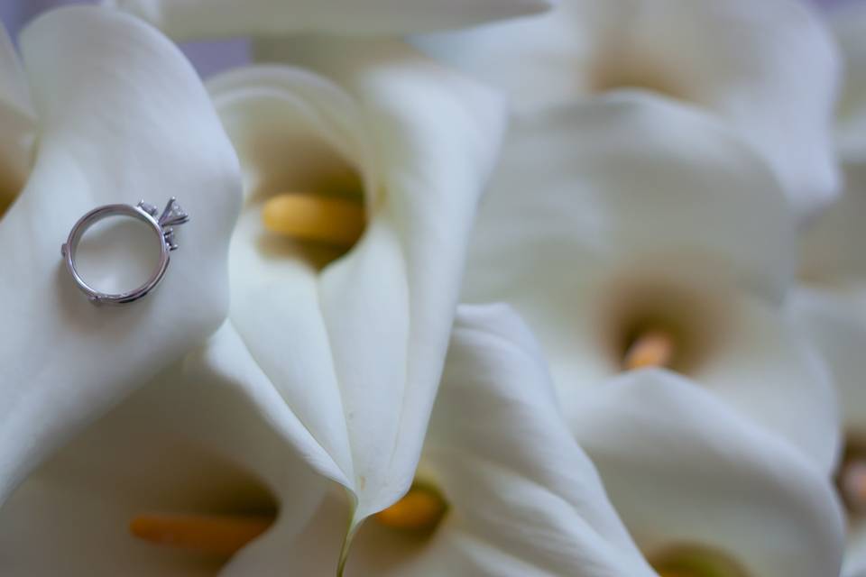 E Cardona Photography