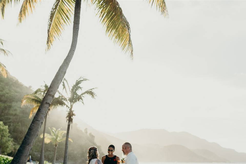 ASE Real Island Elopement