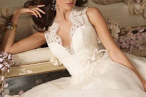 Ball gown with lace sleeves