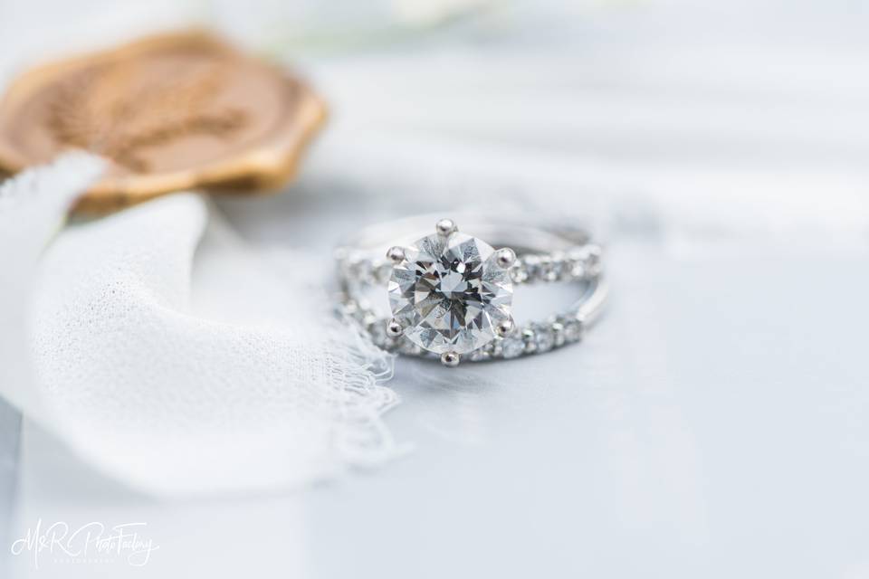 Bridal portrait