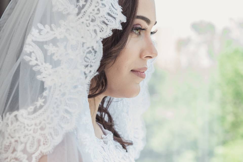 Veil and gown