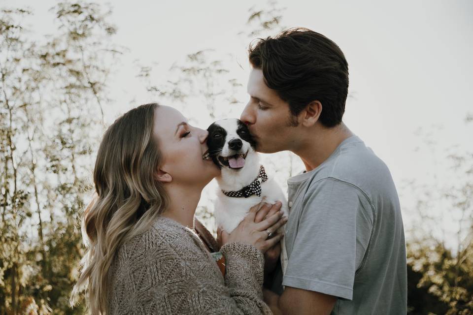 Wilder Ranch Engagement