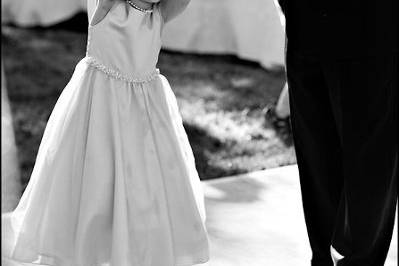robin shetler photography