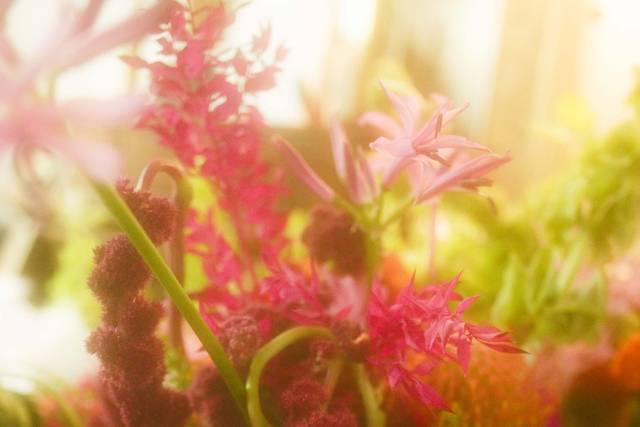 Dreamy tones