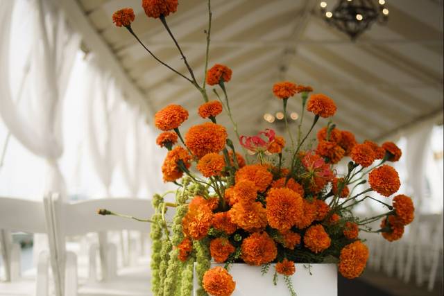 Bright Marigolds