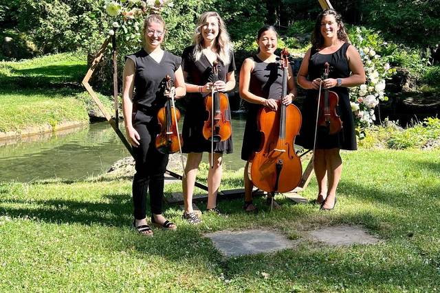 Pizzicatomus String Quartet