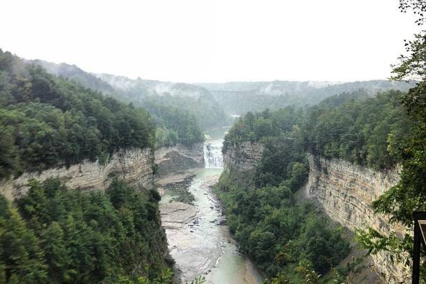 Wedding ceremony at Inspiration Point in Letchworth state park