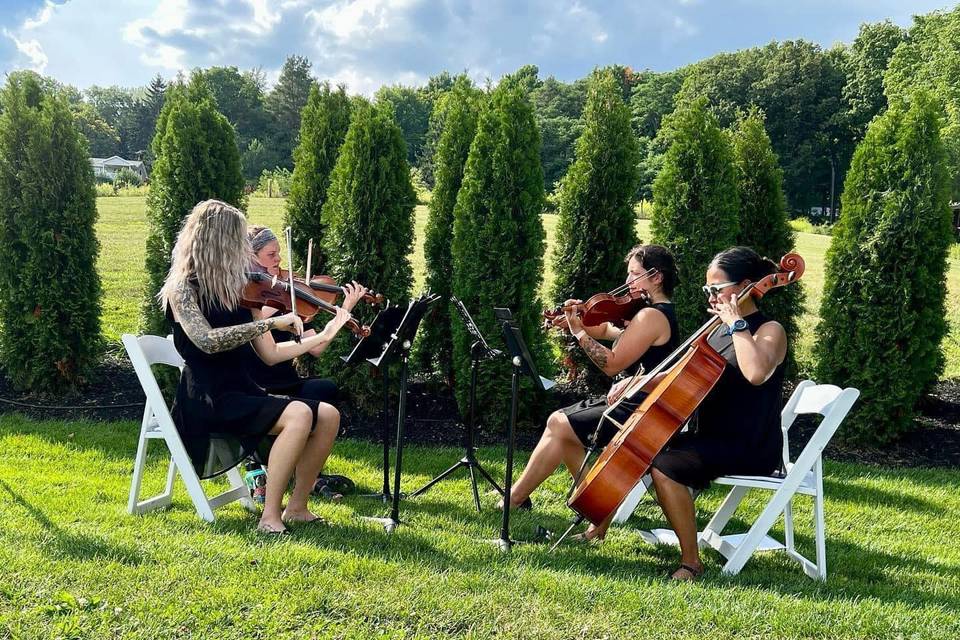 Pizzicatomus String Quartet
